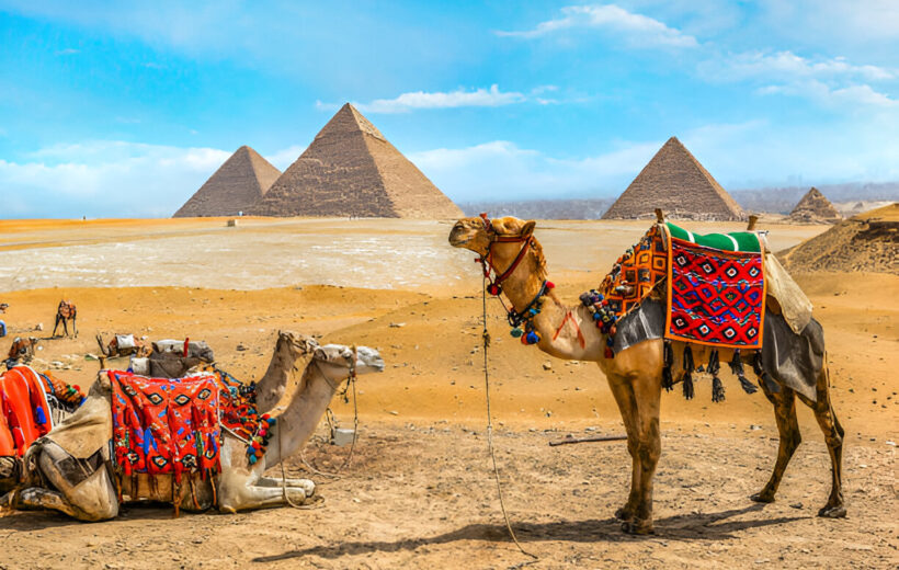 Camel Ride in Giza Pyramids