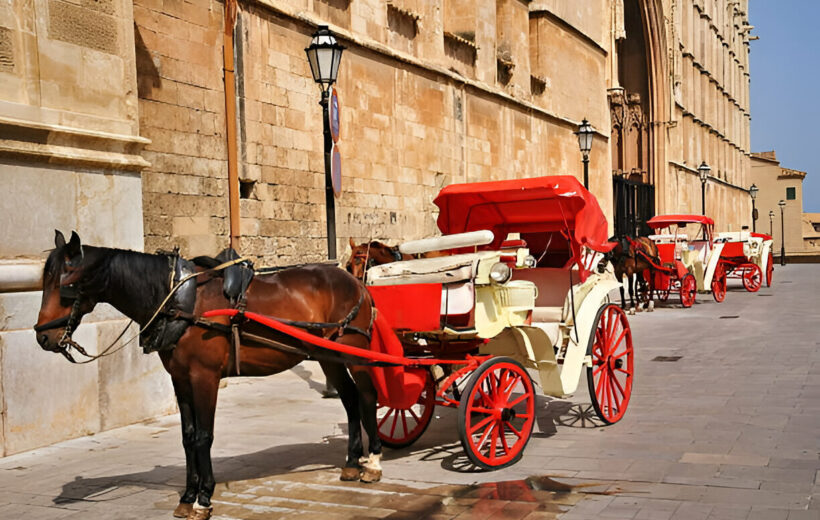 Luxor Horse Carriage Trip