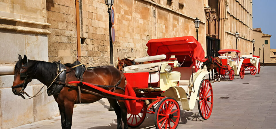 Luxor hästskjuts resa Luxor häst-häst och vagn vagn staden Luxor tur Luxor privat rundtur Luxor historiska platserna Gamla Thebe tur Luxor lokala marknader Luxor traditionella basarer Luxor sightseeing i Luxor kulturell upplevelse