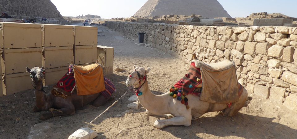 Saqqara Pyramid Egypt