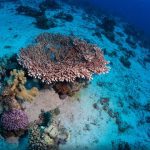 Galleria Di Miniature 2