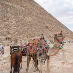 Galeria De Miniatura 0