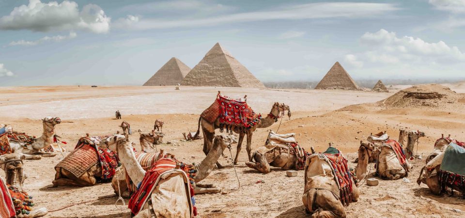 Camel Ride in Giza Pyramids