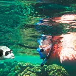 Galeria De Miniatura 0