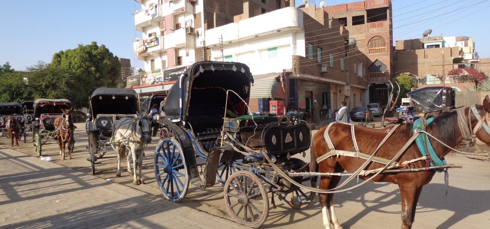 Aswan Tours: Philae Temple Sound and Light Show & Aswan Horse Carriage Ride